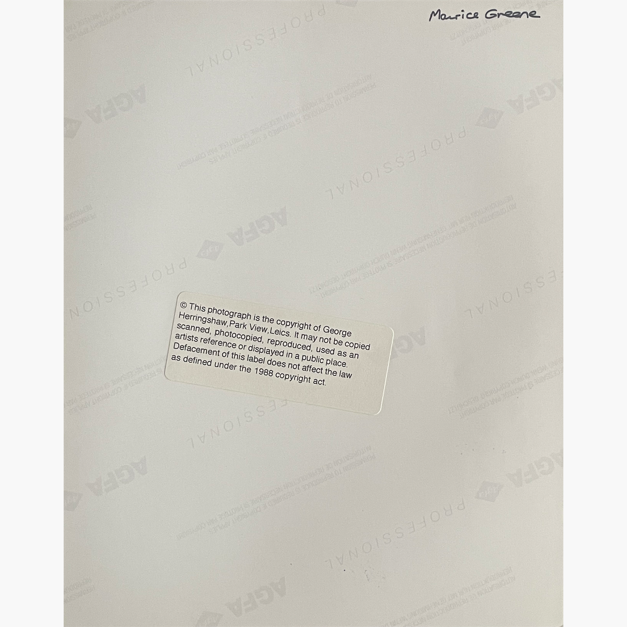 Maurice Greene – Signed 25.3cm x 20.2cm Colour Action Press Photo