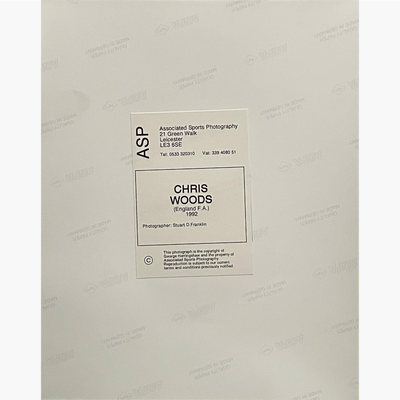 Chris Woods – Signed 25.5cm x 20cm Colour Action Press Photo