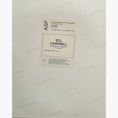 Sol Campbell – Signed 25.5cm x 20cm Colour Action Press Photo