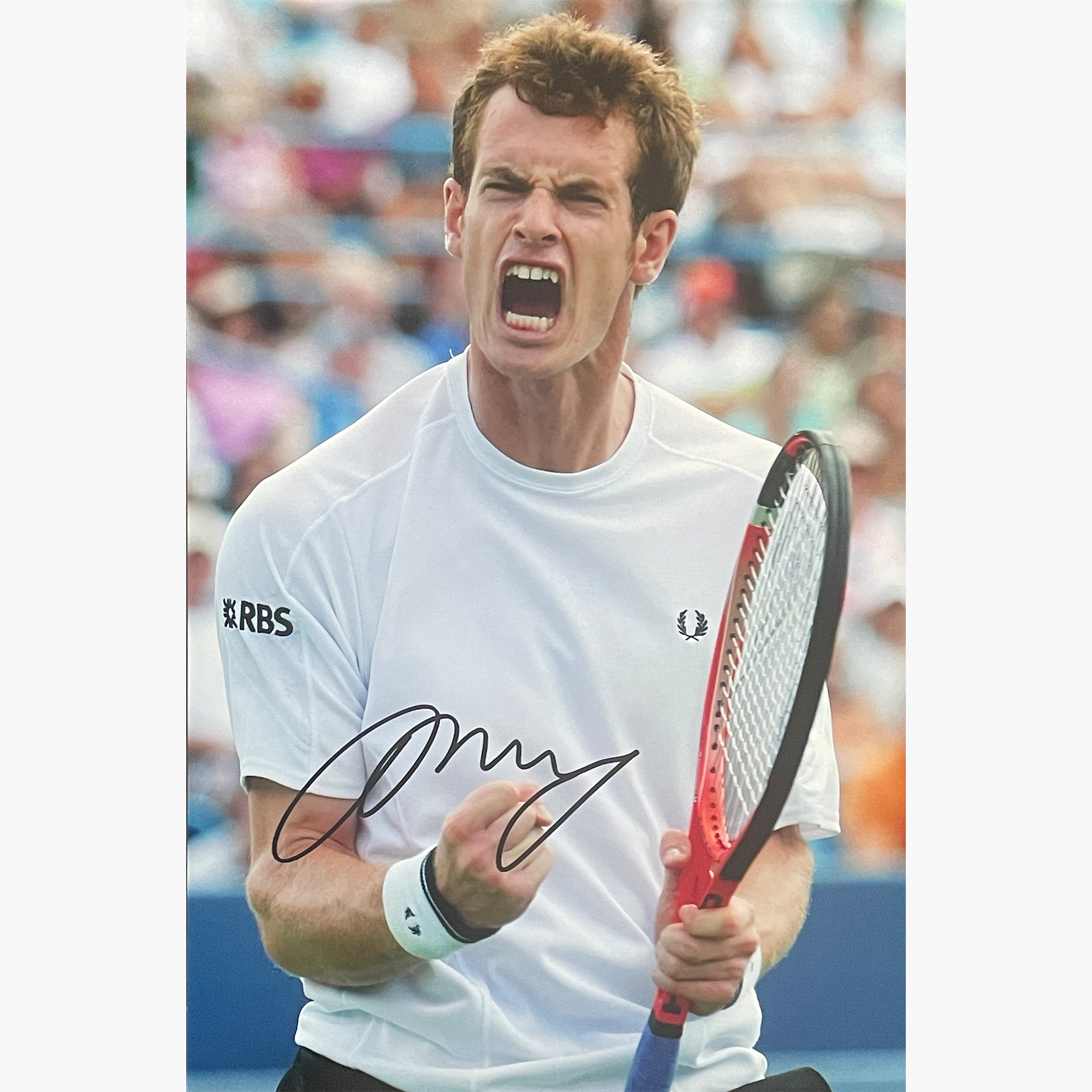 Andy Murray – Signed 30.5cm x 20.5cm Colour Photo
