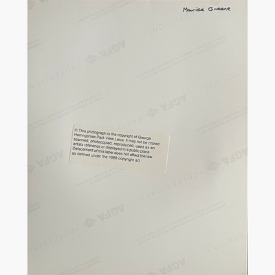 Maurice Greene – Signed 10cm x 10cm Colour Action Press Photo