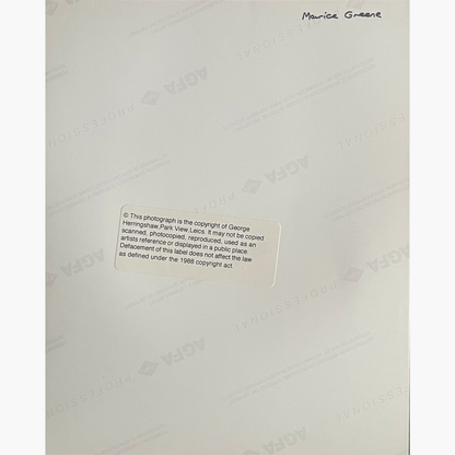 Maurice Greene – Signed 10cm x 10cm Colour Action Press Photo