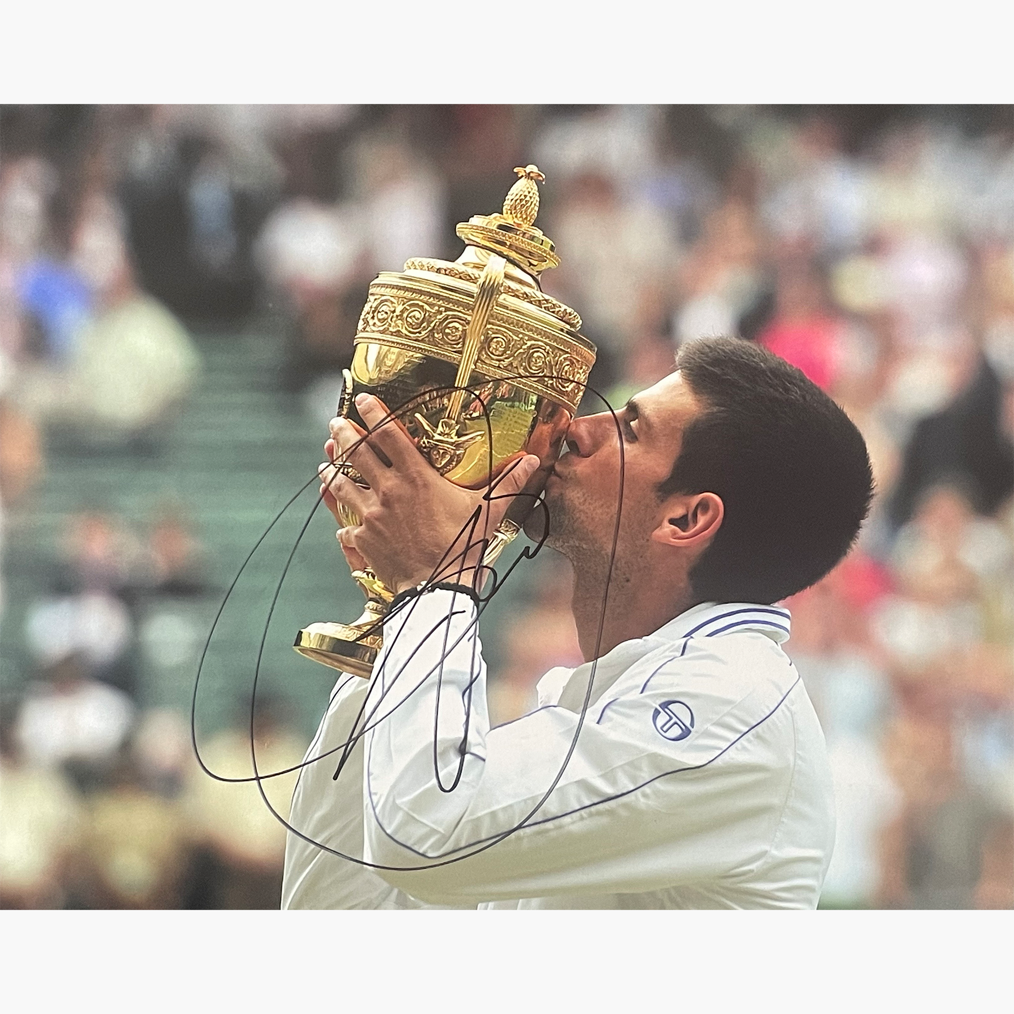 Novak Djokovic – Signed 25.4cm x 20.3cm Colour Photo