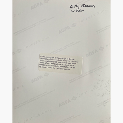 Cathy Freeman – Signed 25.5cm x 20.5cm Colour Action Press Photo
