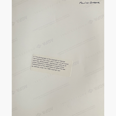 Maurice Greene – Signed 25.3cm x 20.2cm Colour Action Press Photo